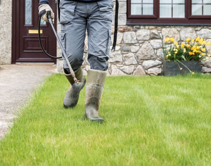 Professional Lawn Care Service