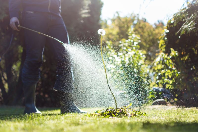 Increase Your Dandelion Treatment Business with an AI Driven, Targeted Website