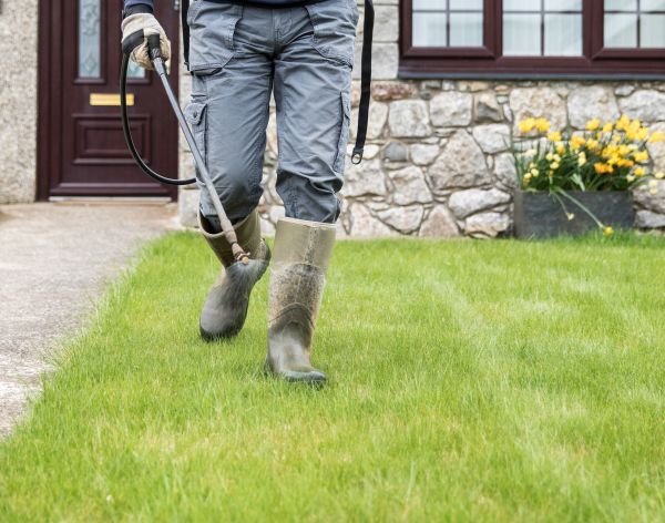 Yard Spraying Service - Yard Spraying Service Boca Raton, Florida