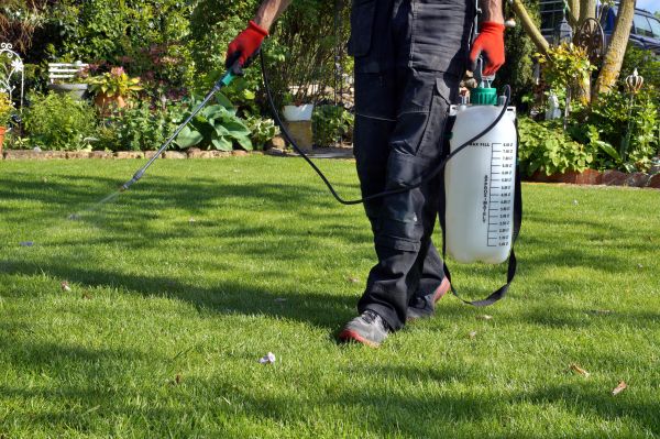 Yard Treatment